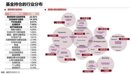 砸崩特斯拉的BG究竟什么來頭？軟件外包服務(wù)全景解析